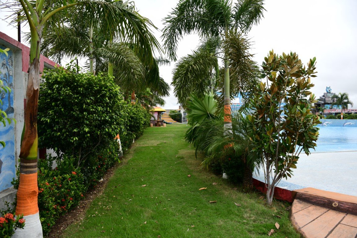 Guests riding the Steel Dragon during the day